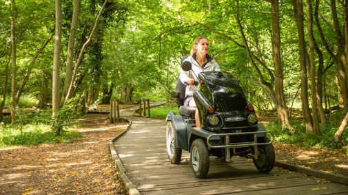 A lady exploring Hatfield Forest on a tramper